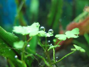 gallery_13607_1329_1405824.jpg