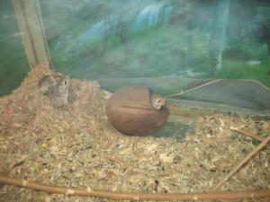 gallery_10800_1330_295815.jpg