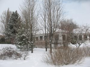 gallery_10800_1330_315134.jpg