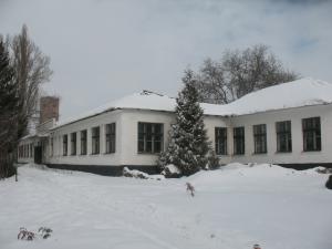 gallery_10800_1330_9014.jpg