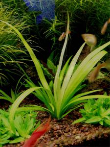 gallery_13203_887_190063.jpg