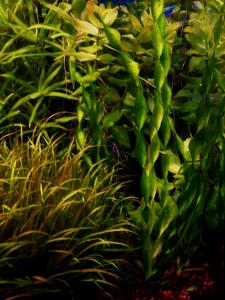 gallery_13203_887_41471.jpg