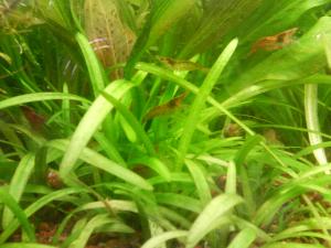 gallery_9837_1318_129205.jpg