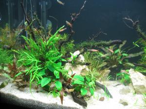 gallery_11498_1336_1058945.jpg