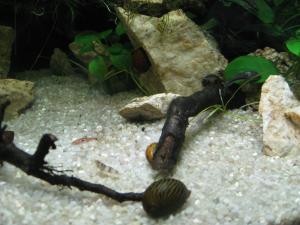 gallery_11498_1336_30349.jpg