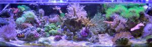 gallery_11498_1343_117181.jpg