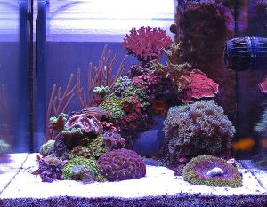 gallery_11498_1343_311969.jpg