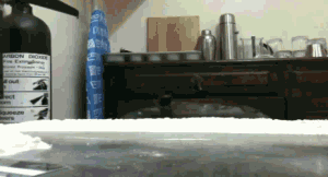 gallery_9883_542_1114130.gif