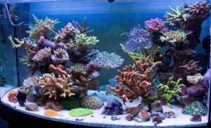 gallery_11498_1344_201465.jpg