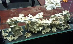gallery_11498_1348_4769.jpg