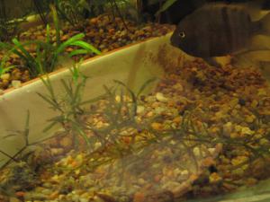 gallery_15372_1242_626154.jpg