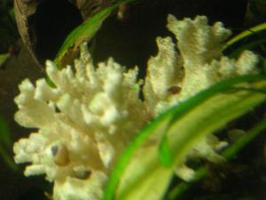gallery_9782_758_2548893.jpg