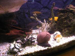 gallery_9782_758_735824.jpg
