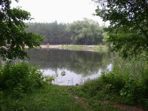gallery_9275_1361_175259.jpg