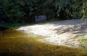gallery_9275_1361_86504.jpg
