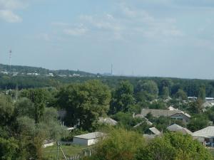 gallery_9275_1361_120140.jpg