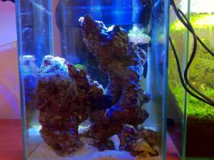 gallery_10756_893_32755.jpg