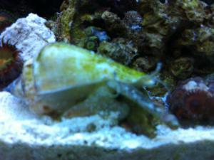 gallery_10756_893_362326.jpg