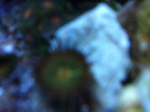 gallery_10756_893_418920.jpg