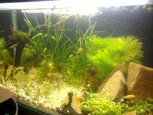 gallery_17968_1372_1013875.jpg