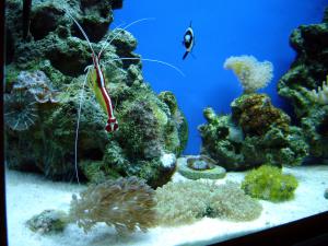 gallery_514_1382_1112050.jpg