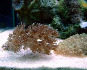 gallery_514_1382_24588.jpg