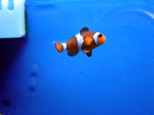 gallery_514_1382_8610.jpg