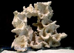 gallery_11498_1348_39235.jpg