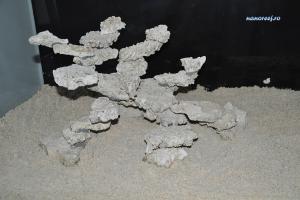 gallery_11498_1348_456508.jpg