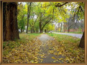 gallery_9275_1386_25785.jpg