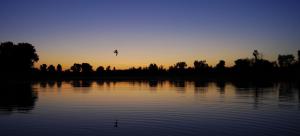 gallery_9275_1386_33378.jpg