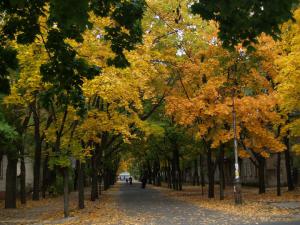 gallery_9275_1386_75049.jpg