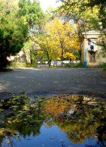 gallery_9275_1386_7904.jpg