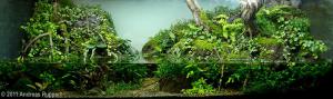 gallery_11498_1389_132692.jpg