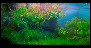 gallery_11574_579_42207.jpg