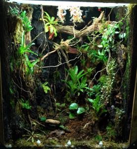 gallery_11498_1389_131480.jpg
