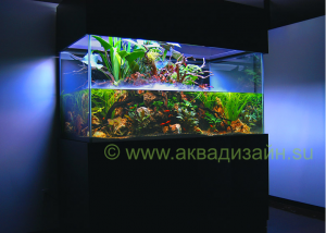 gallery_11498_1389_401211.png