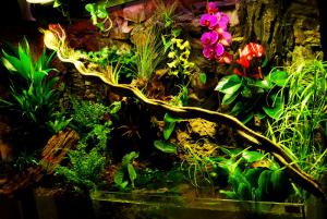 gallery_11498_1389_95109.jpg