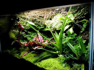 gallery_11498_1389_50853.jpg