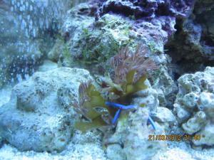 gallery_15405_1143_1114621.jpg