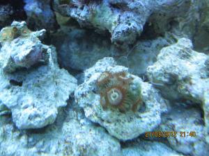gallery_15405_1143_1703772.jpg