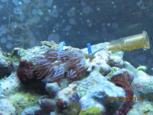 gallery_15405_1143_397764.jpg