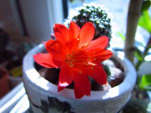 gallery_7576_850_44834.jpg
