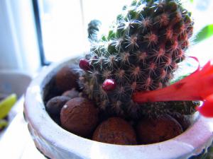 gallery_7576_850_72646.jpg