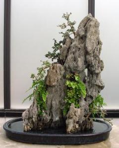 gallery_11498_1403_12051.jpg