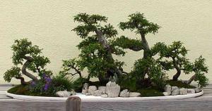 gallery_11498_1403_66068.jpg