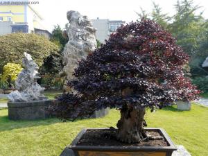 gallery_11498_1403_87330.jpg