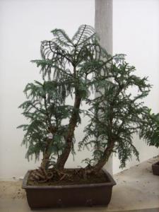 gallery_11498_1403_9624.jpg