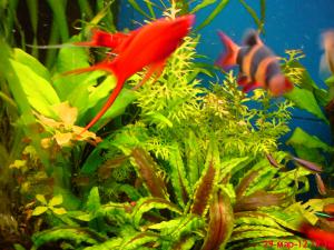 gallery_18062_1127_218921.jpg