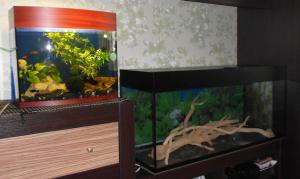gallery_22146_1406_165065.jpg